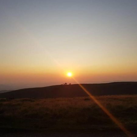 שרוסברי Rowan Cottages With Panoramic Views Of The Stiperstones And Walks On The Doorstep מראה חיצוני תמונה