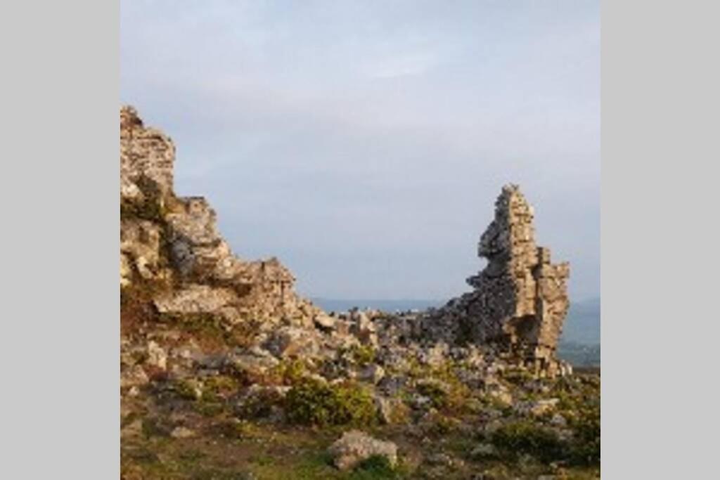 שרוסברי Rowan Cottages With Panoramic Views Of The Stiperstones And Walks On The Doorstep מראה חיצוני תמונה